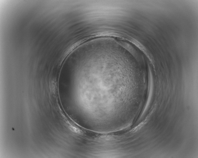 X0000063530993200601231537