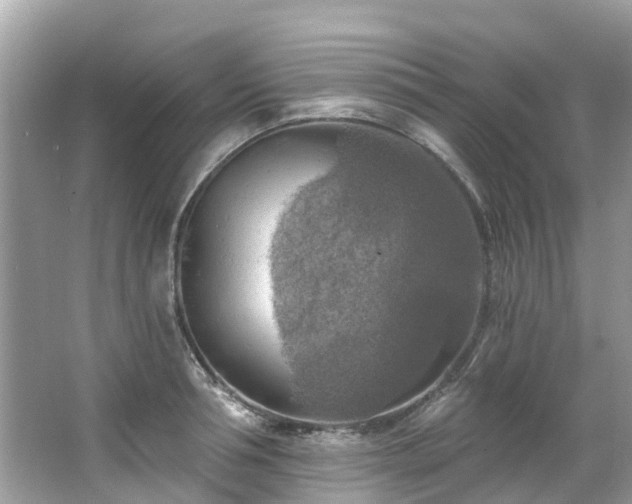 X0000063530994200601231537