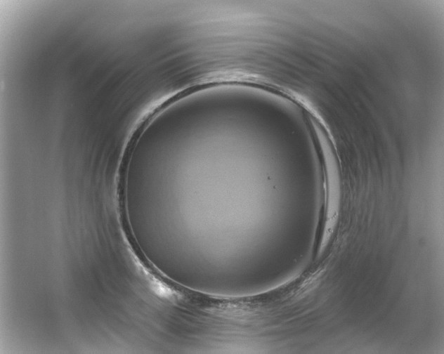 X0000063530995200601231537