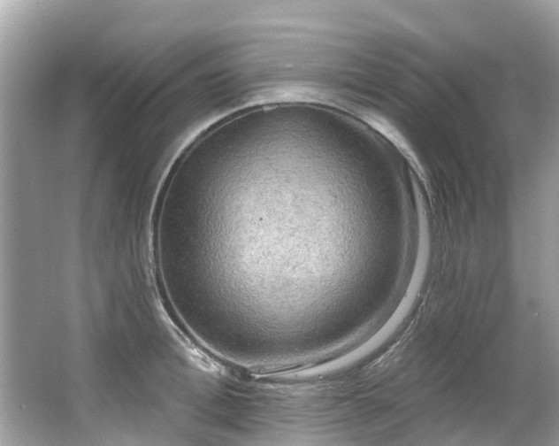 X0000063530996200601231537