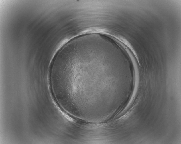 X0000063530997200601231537