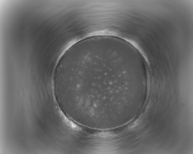 X0000063530998200601231537