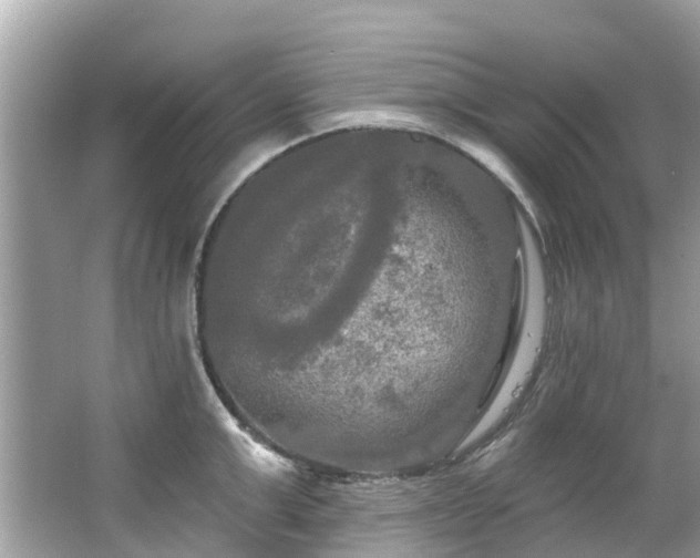 X0000063530999200601231537