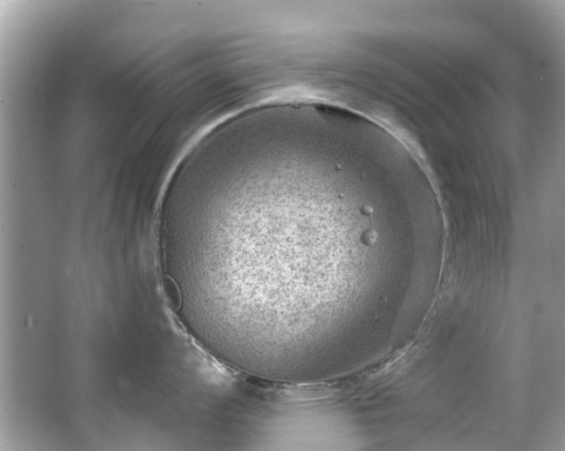 X0000063531008200601231537