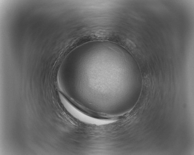 X0000063531009200601231536