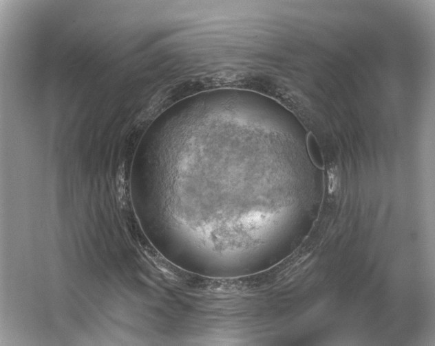 X0000063531011200601231536