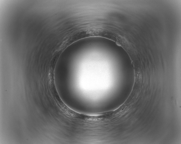 X0000063531012200601231536