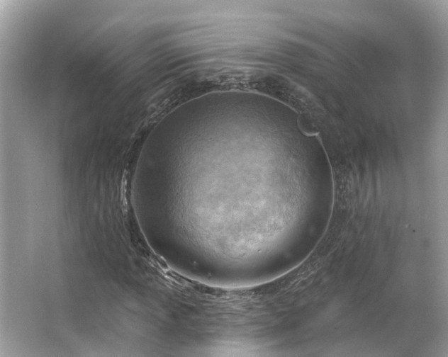 X0000063531013200601231536