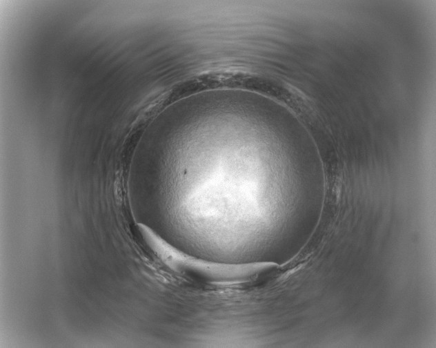 X0000063531014200601231536