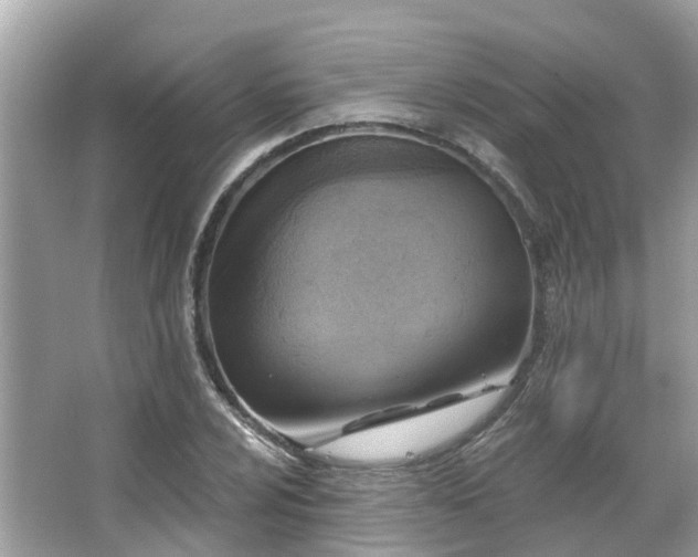 X0000063531024200601231536