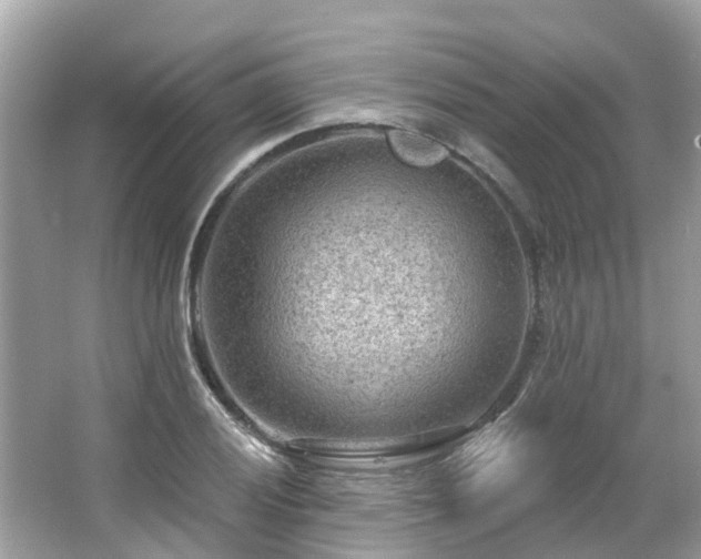 X0000063531028200601231536