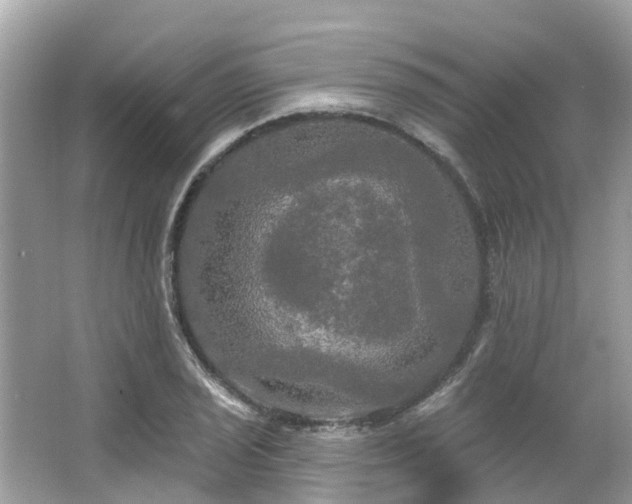 X0000063531029200601231536