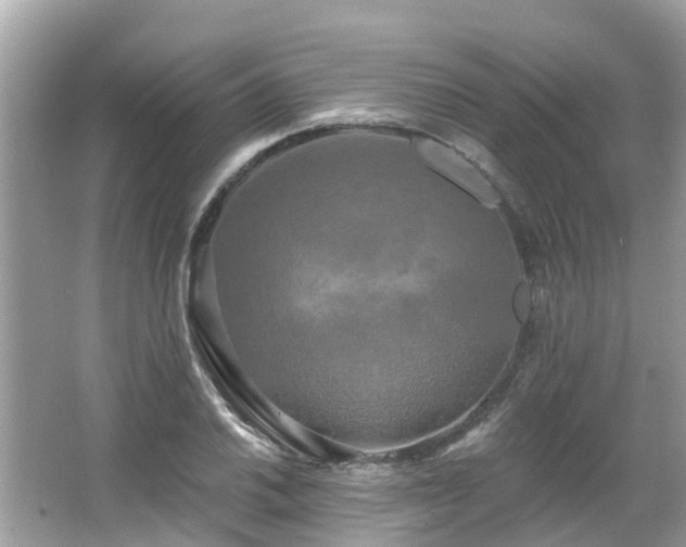 X0000063531030200601231536