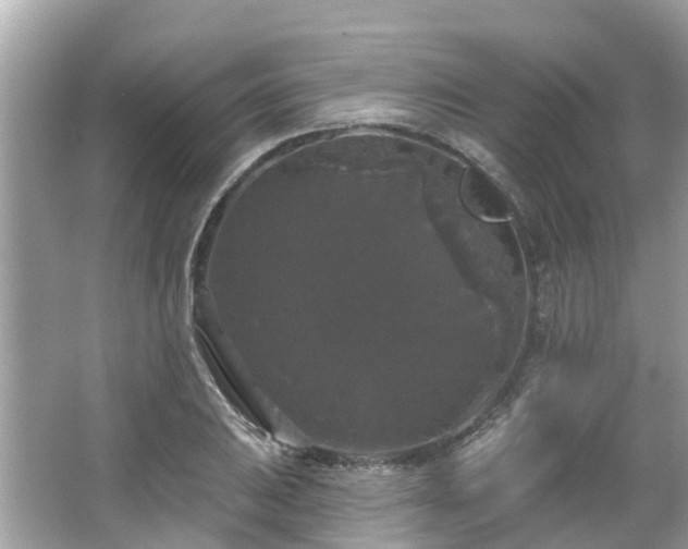 X0000063531031200601231536