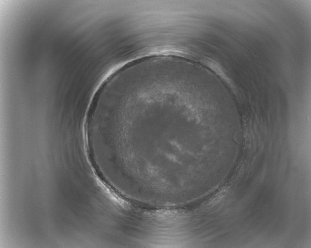 X0000063531032200601231536