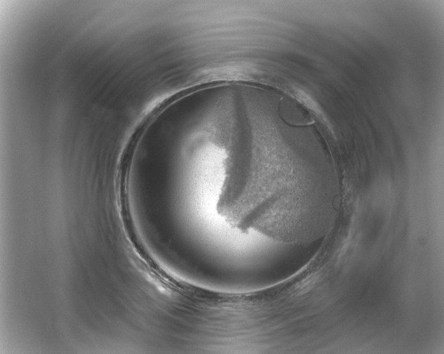 X0000063531035200601231536