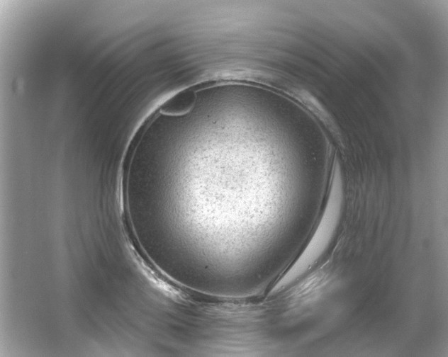 X0000063531036200601231536