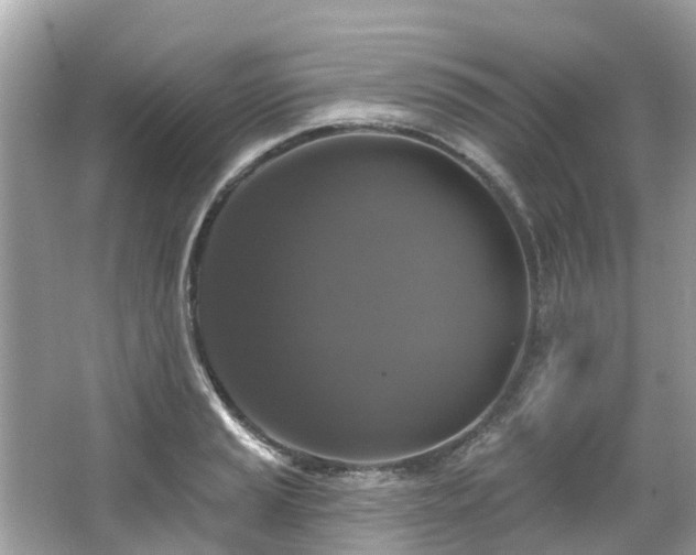 X0000063531037200601231536