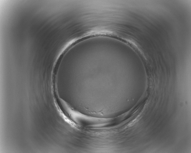 X0000063531038200601231536