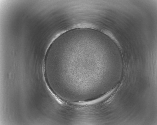 X0000063531040200601231536