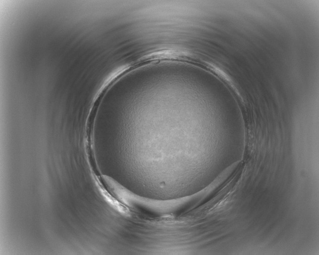 X0000063531042200601231536