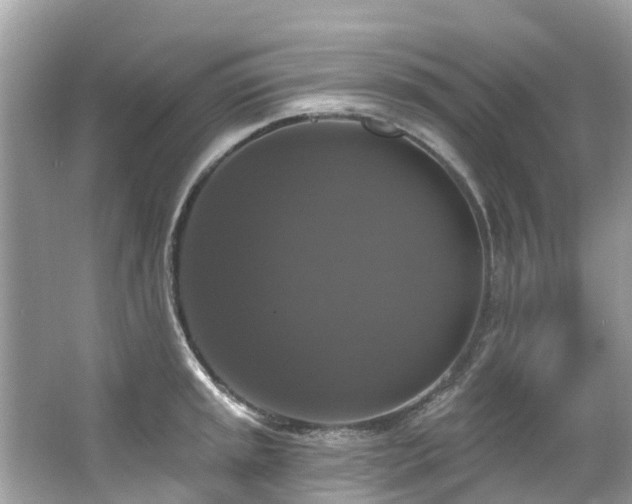 X0000063531045200601231536