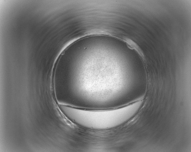 X0000063531052200601231537