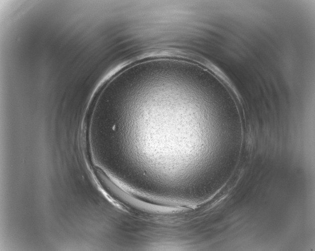 X0000063531053200601231537