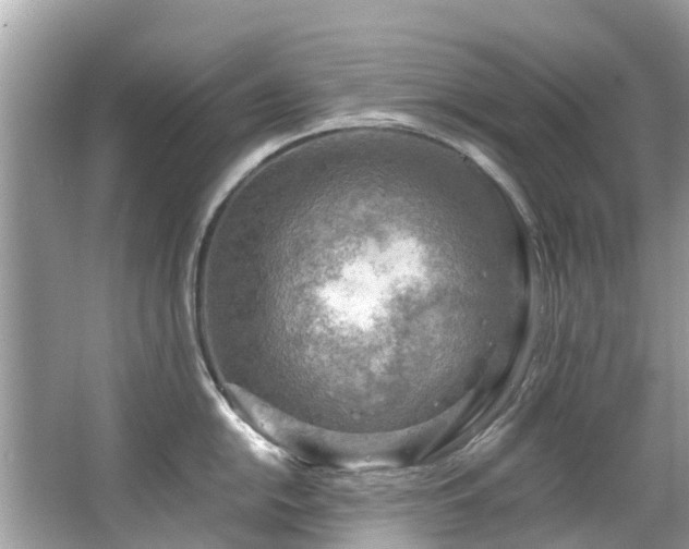 X0000063531054200601231537