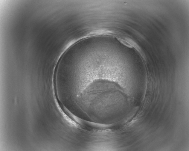 X0000063531055200601231537