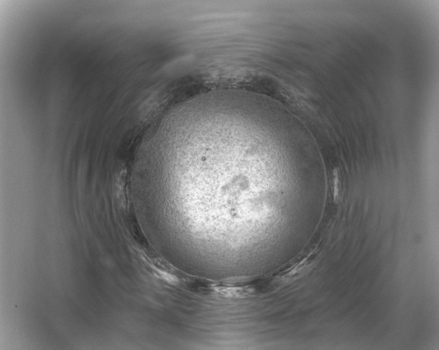 X0000063531059200601231536