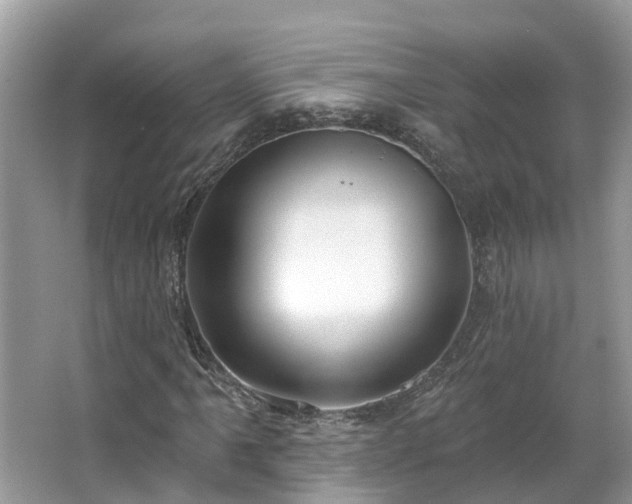 X0000063531061200601231536