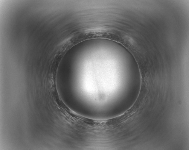 X0000063531062200601231536