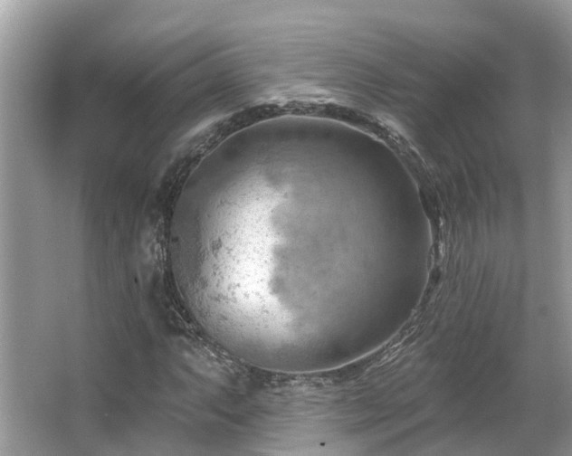 X0000063531063200601231536