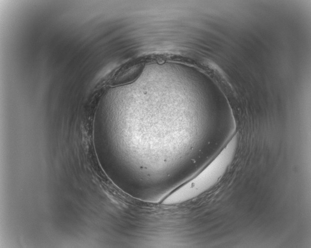 X0000063531064200601231536