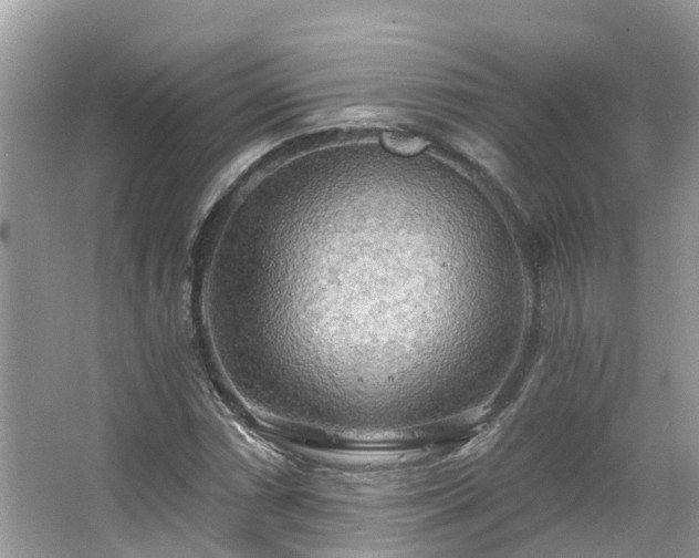 X0000063531066200601231536