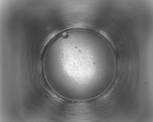 X0000063531067200601231536