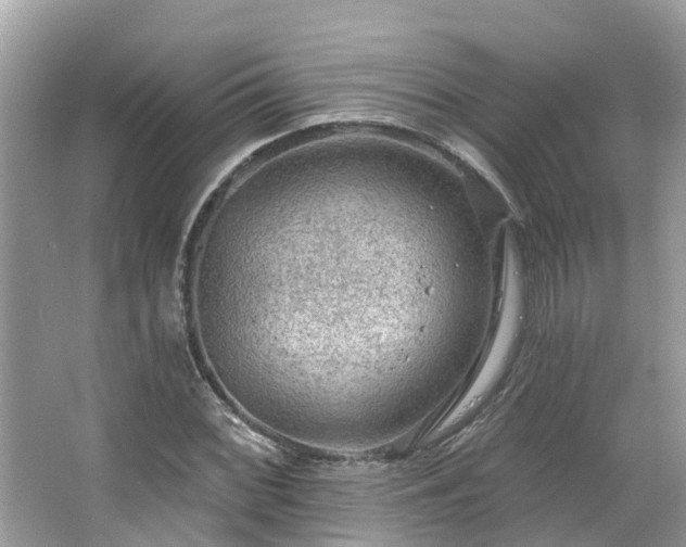 X0000063531068200601231536