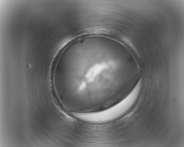 X0000063531071200601231536