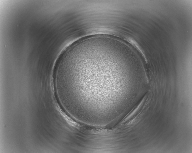 X0000063531072200601231536