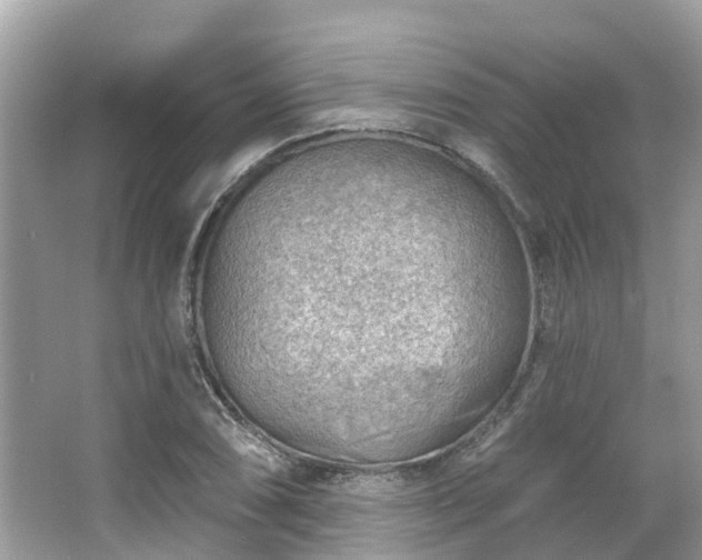 X0000063531074200601231536