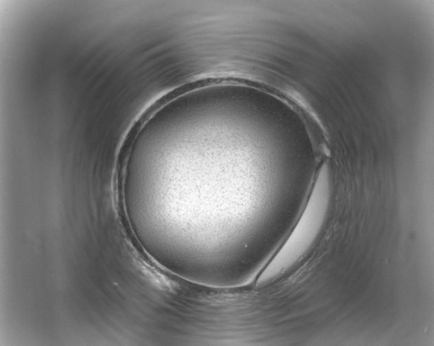 X0000063531076200601231535