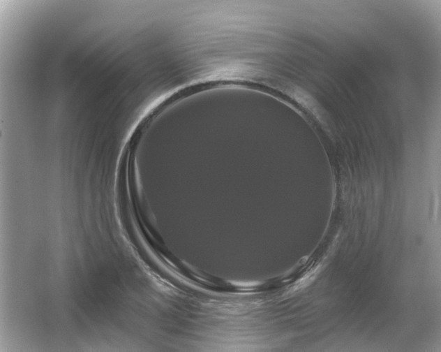 X0000063531077200601231535