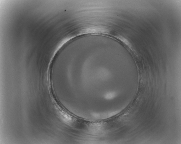 X0000063531078200601231535