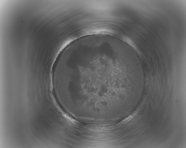 X0000063531079200601231535