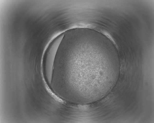 X0000063531080200601231535