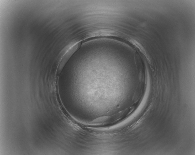 X0000063531081200601231535