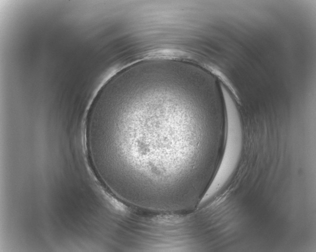 X0000063531083200601231535