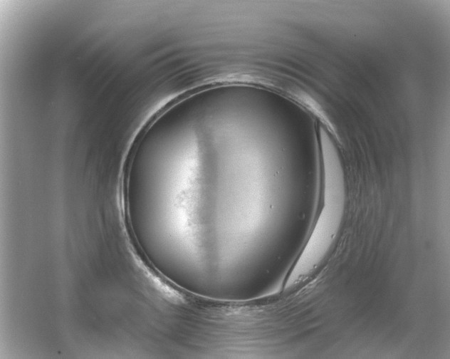 X0000063531084200601231535