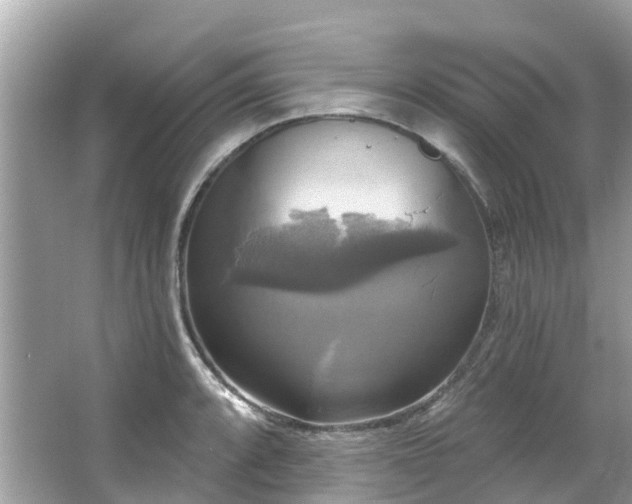 X0000063531088200601231535